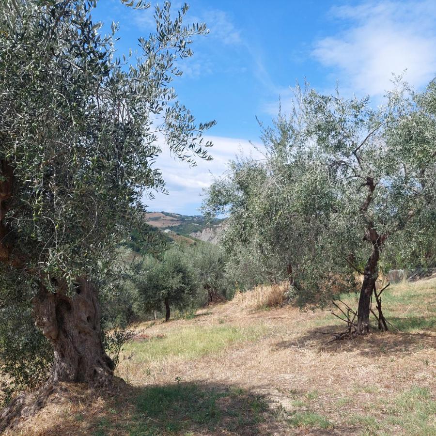 Villa Ferranti Abruzzo Montefino Εξωτερικό φωτογραφία
