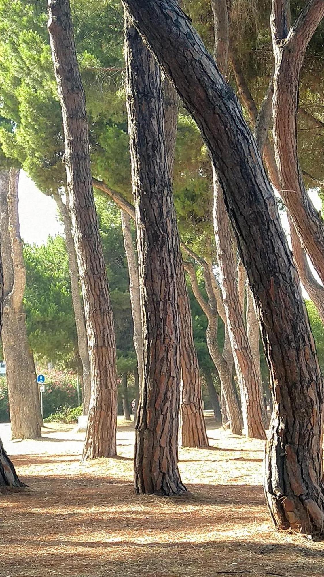 Villa Ferranti Abruzzo Montefino Εξωτερικό φωτογραφία